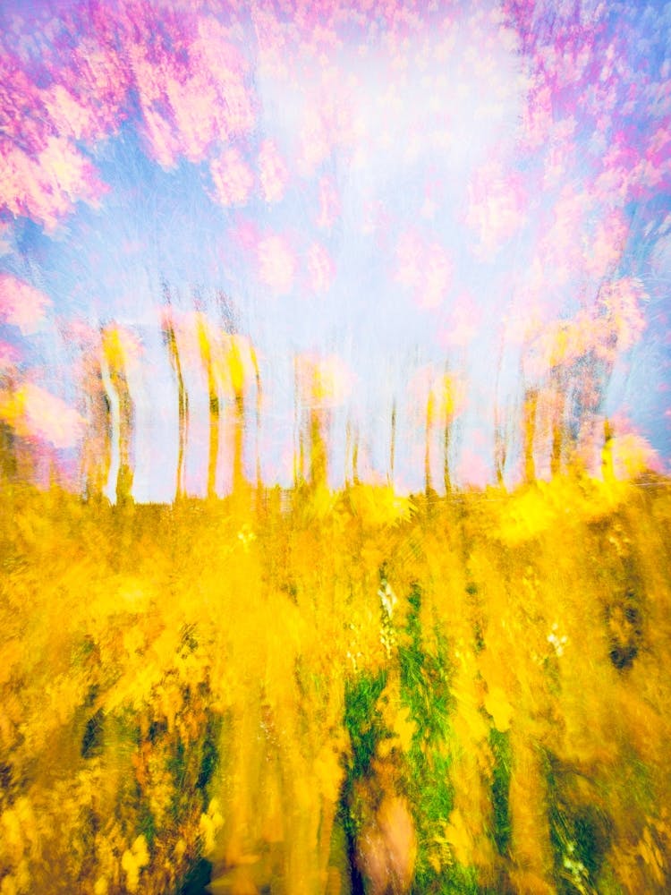 Bring Forth The Flowers Of Spring