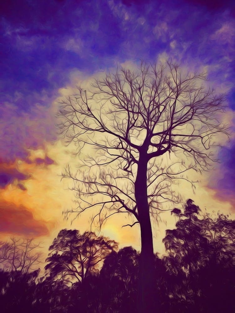 The Leafless Tree
