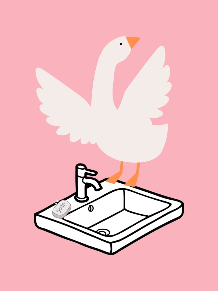 Silly Goose on Sink Pink