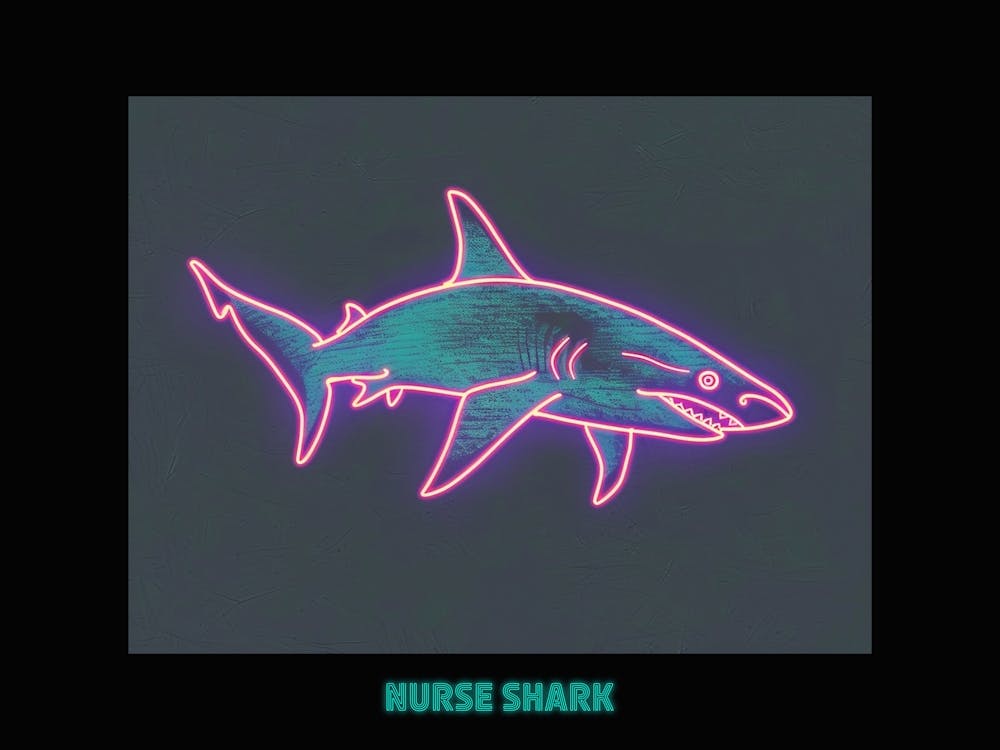 Neon Pink Nurse Shark 2 Poster