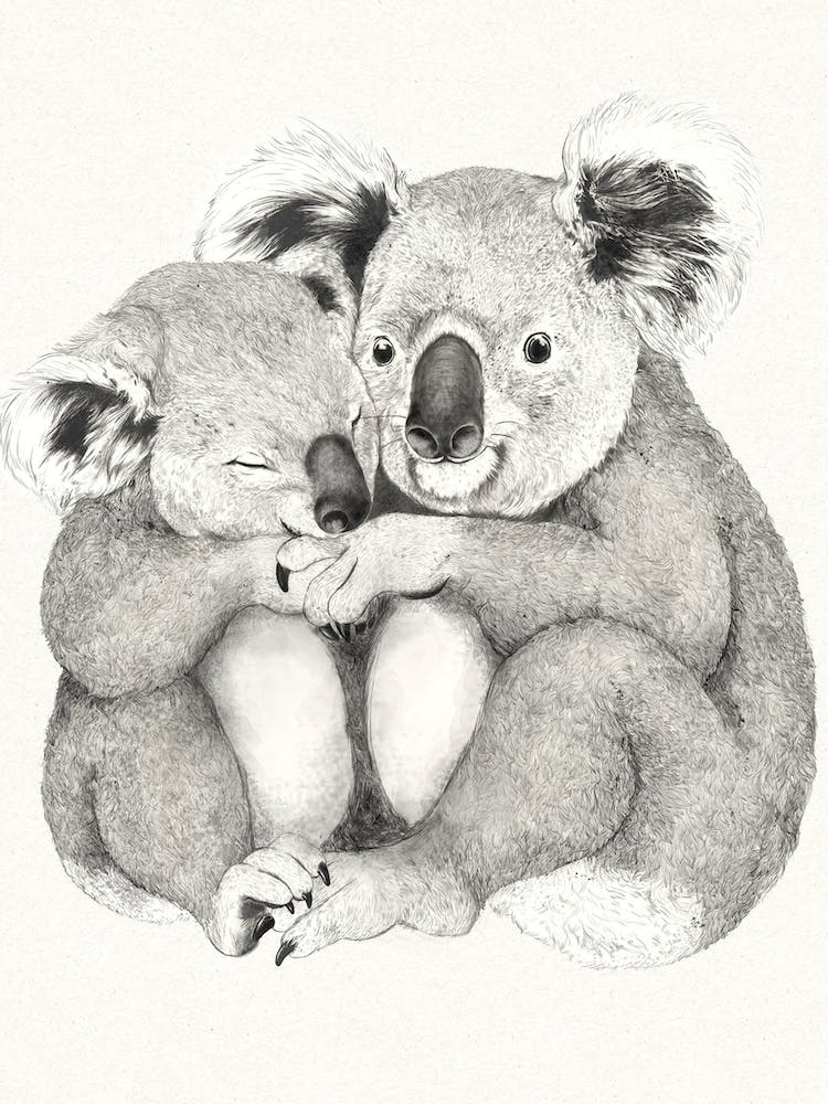 Koalas