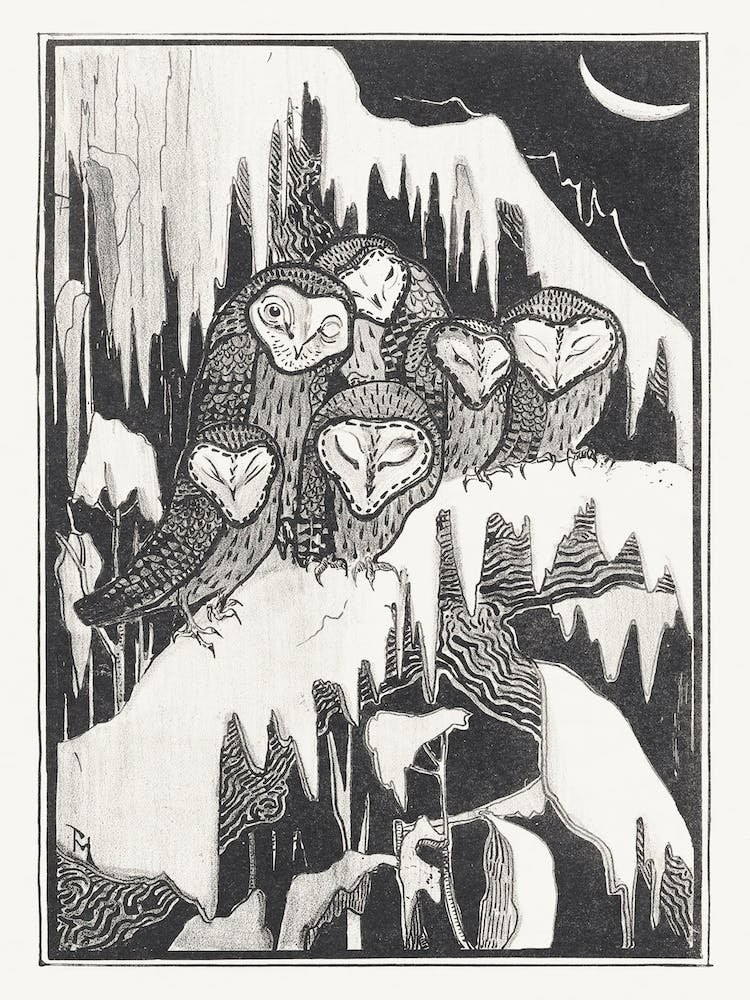 Six Barn Owls Sleeping On Snowy Branches (1939), Theo Van Hoytema