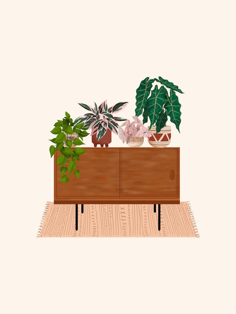 Small Plant Cabinet