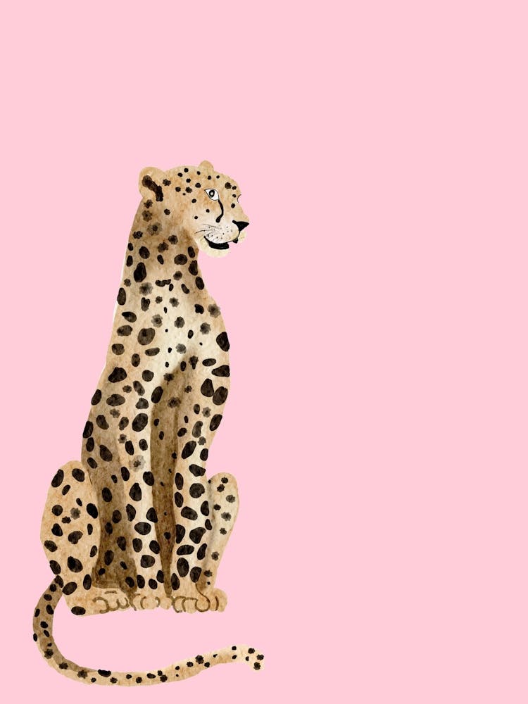 Cheetah 10