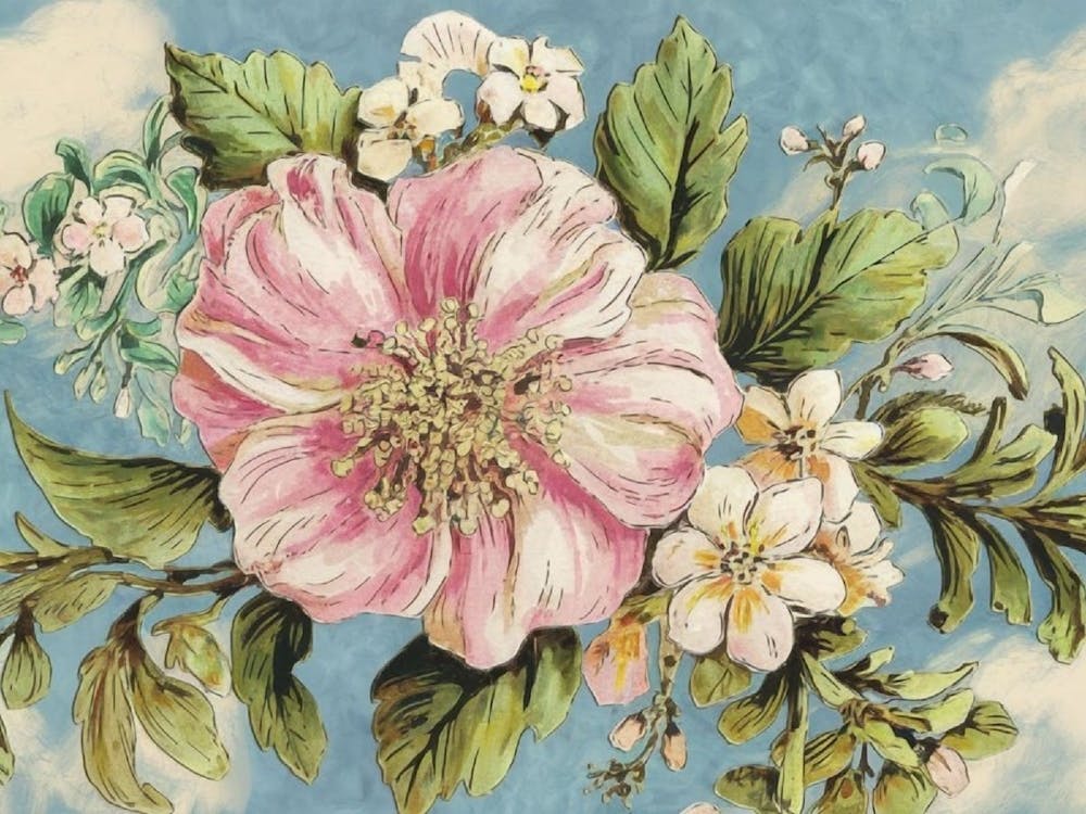Pink Roses 4