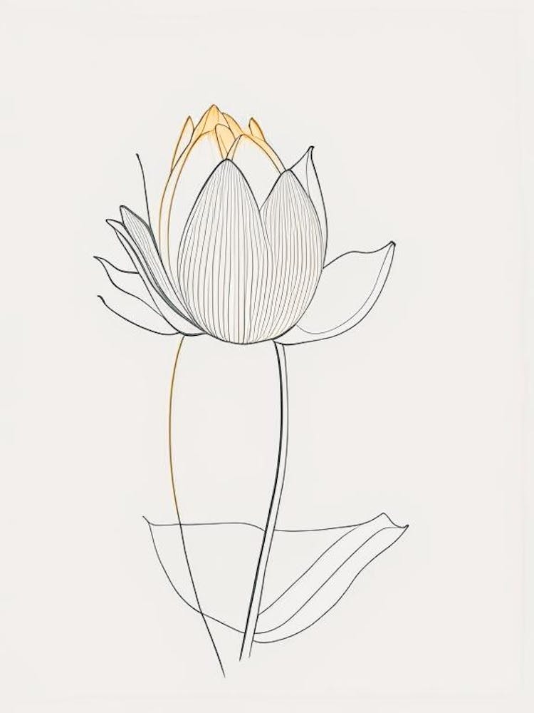Amerikanischer Lotus Minimalistische Linienzeichnung 4