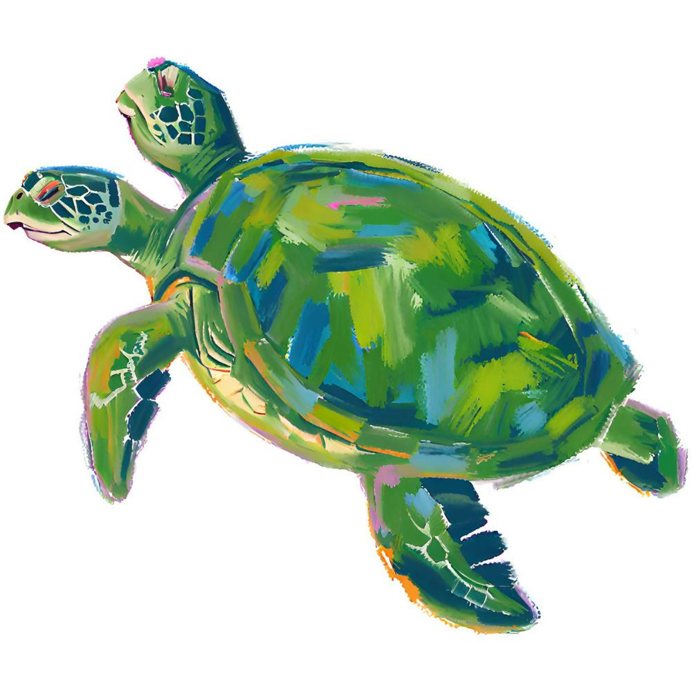Green Sea Turtle 02