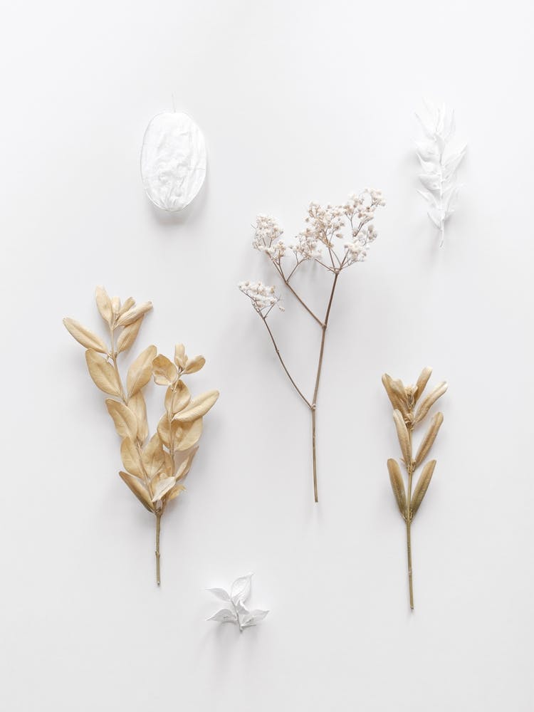 Stones And Branches 3