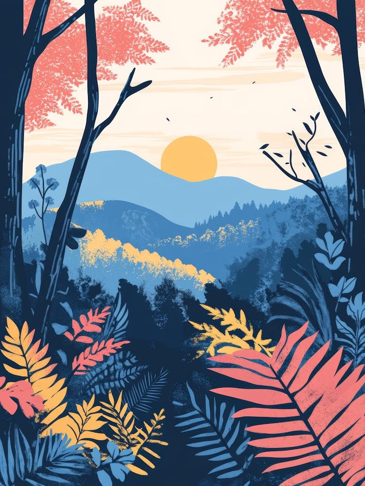 Sunset In The Forest 16