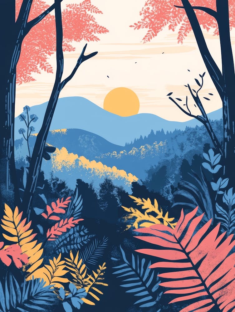 Sunset In The Forest 16