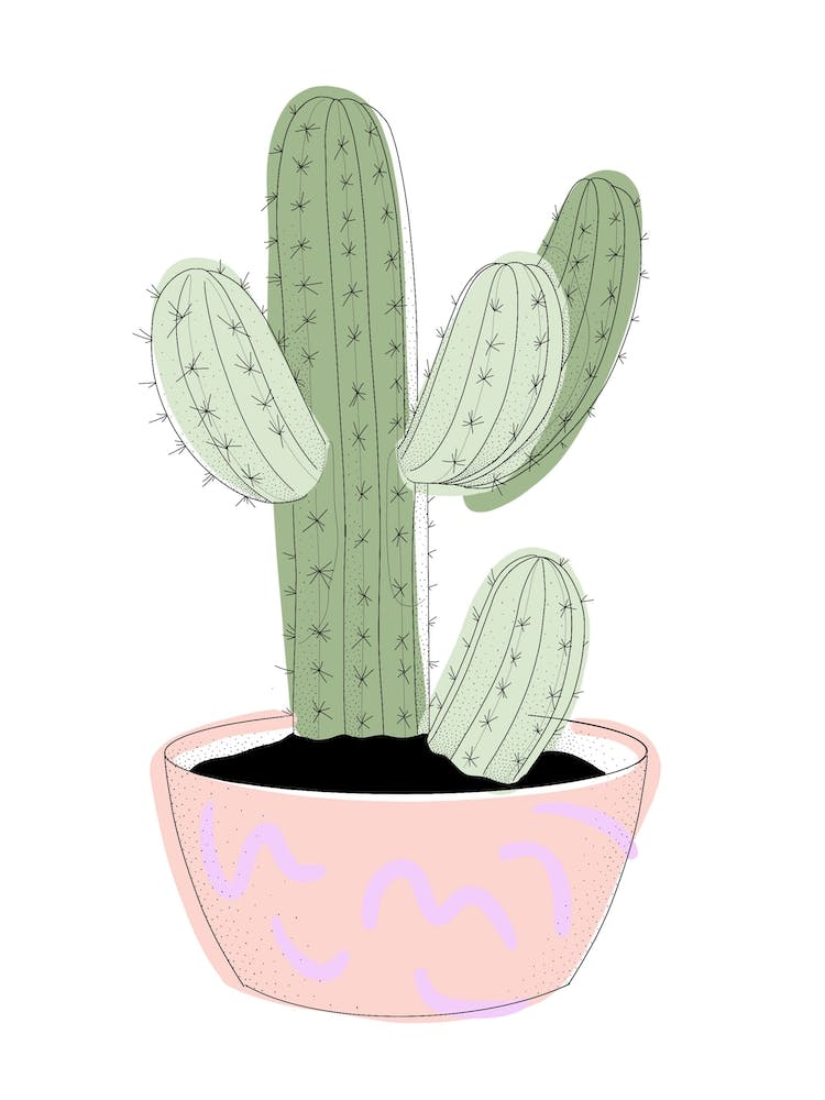 Cactus