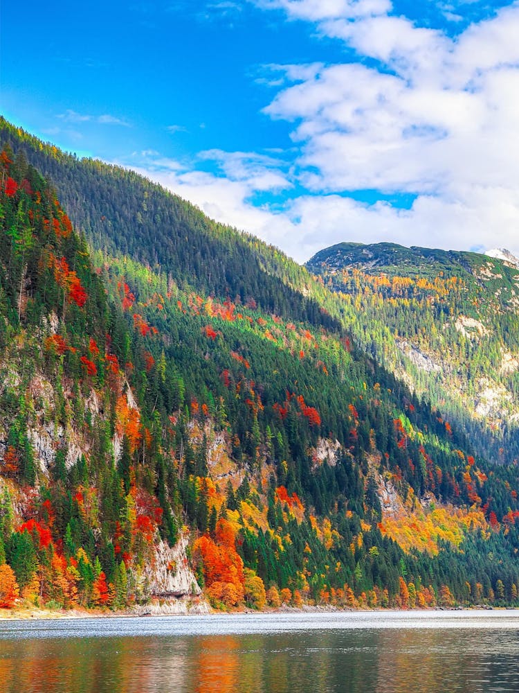 Autumn In The Mountains 1