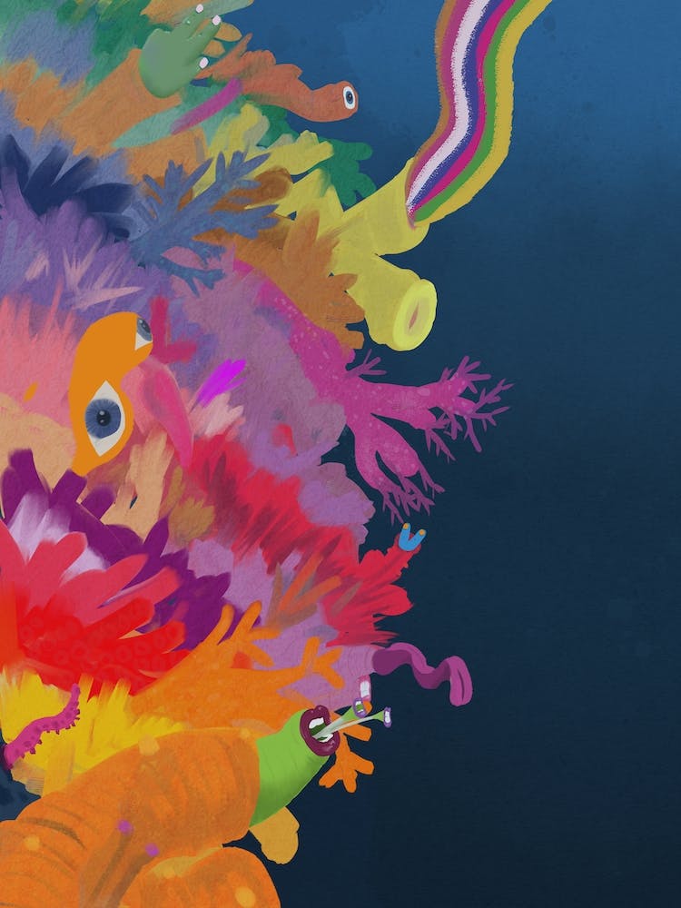 Reef