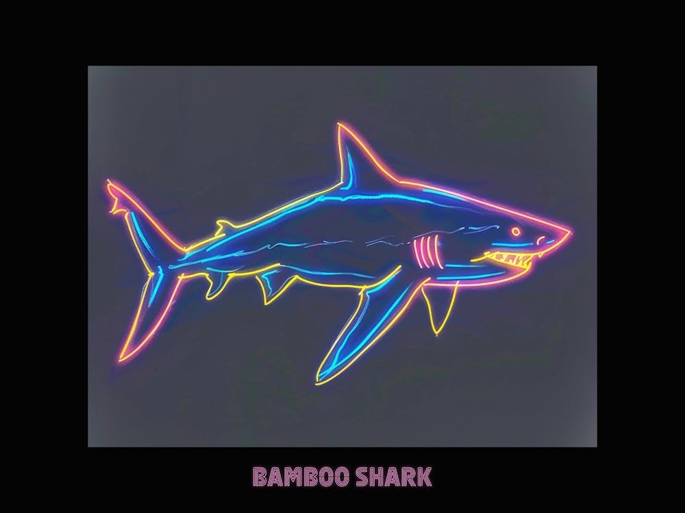 Neon Pink Aqua Bamboo Shark Poster 3