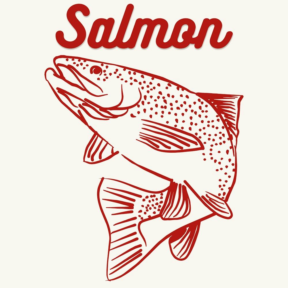 Salmon