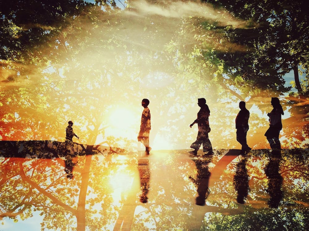 Thoughts About Nature