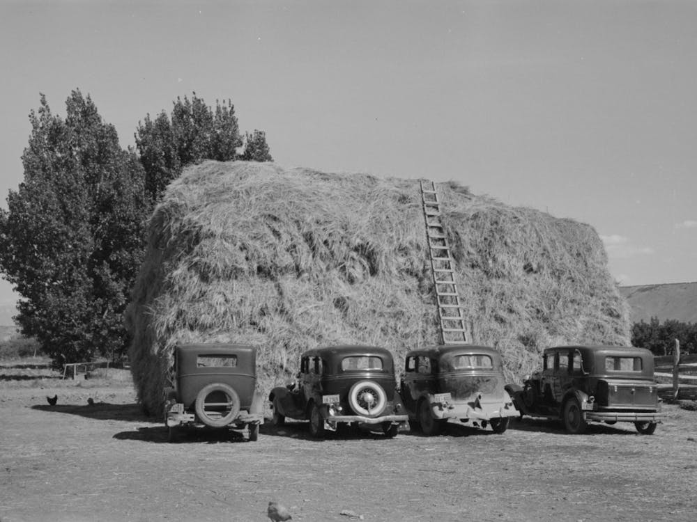 Haystack And Automobile Of Peach Pickers, Delta County, Colorado By Russell Lee