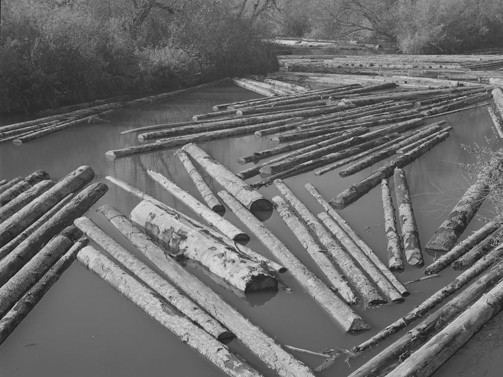 Long Bell Lumber Company, Cowlitz County, Washington, Log Pond By Russell Lee