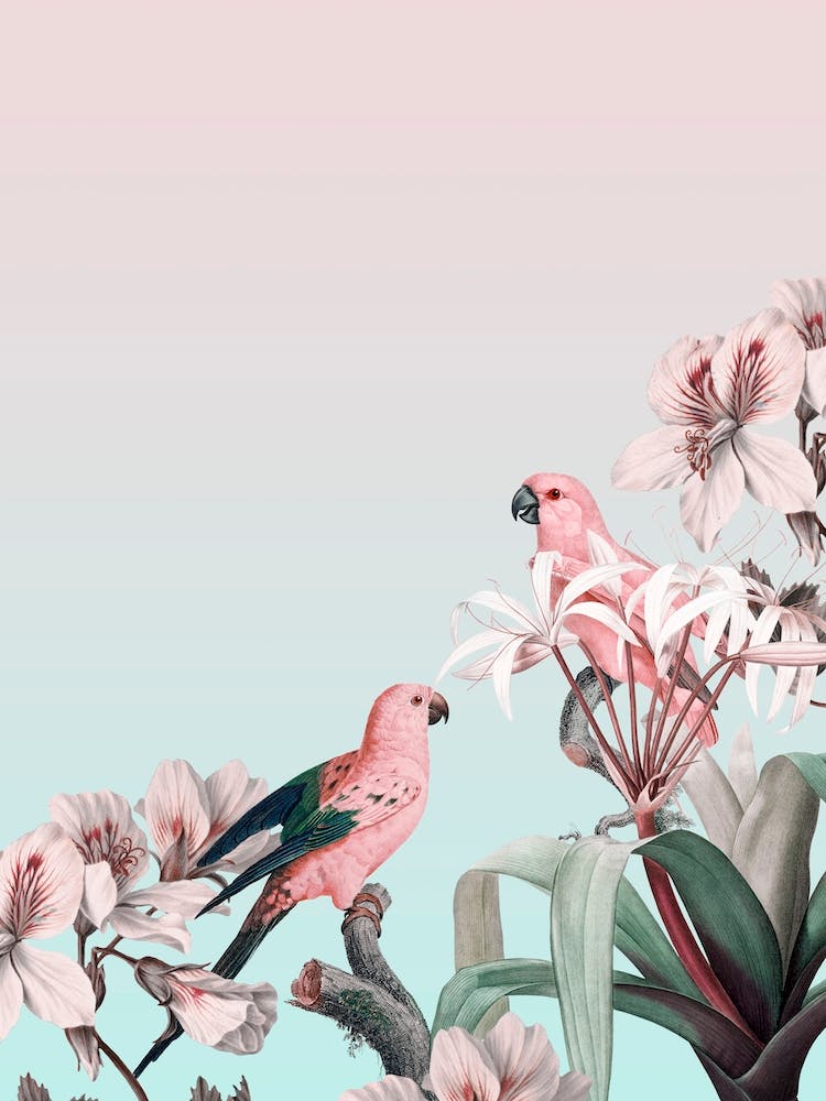 Pastel Parrots Paradise
