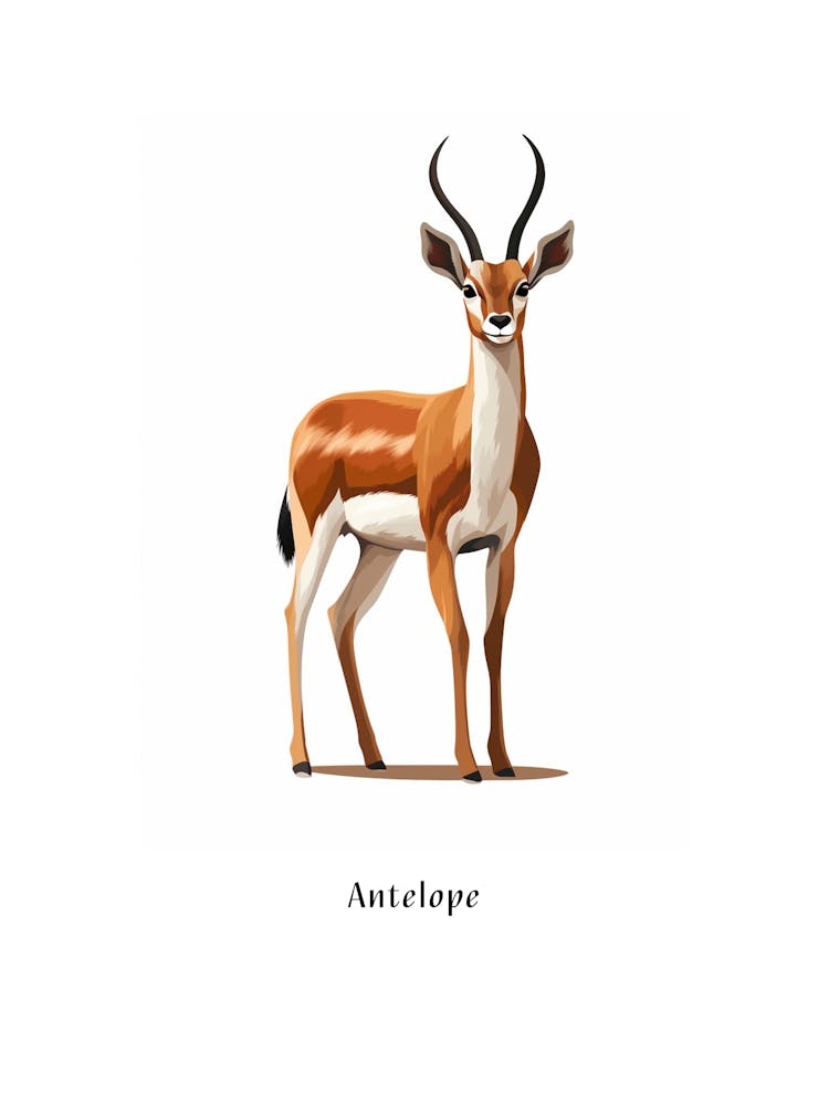 Antelope Kids Animal Poster
