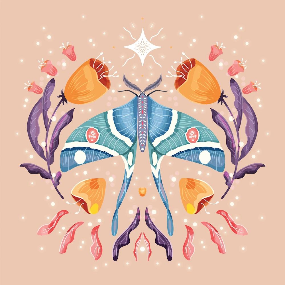 Night Blue Moth On Floral Background And Decoration Square