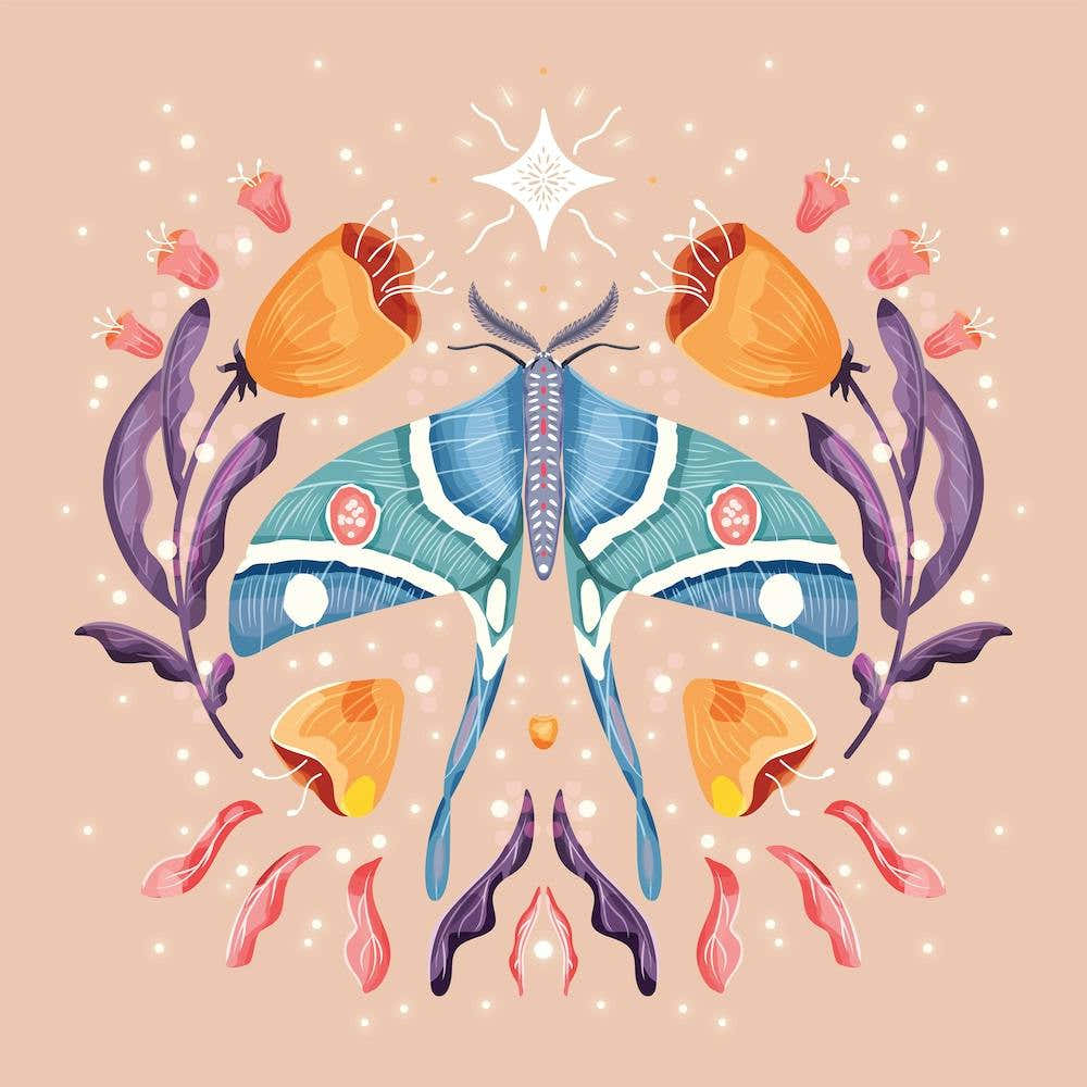 Night Blue Moth On Floral Background And Decoration Square