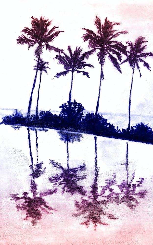 Palm Tree Reflections Sunset