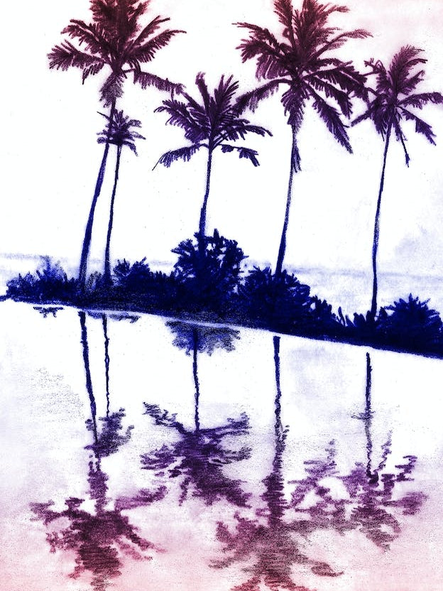 Palm Tree Reflections Sunset