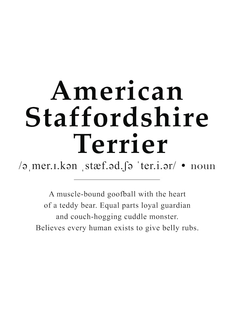 American Staffordshire Terrier Definition Poster - Dictionary