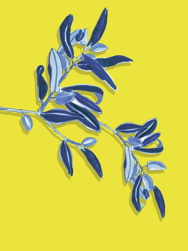Bright Olives
