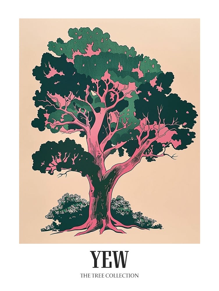 Yew Tree Colourful Illustration 3 Poster
