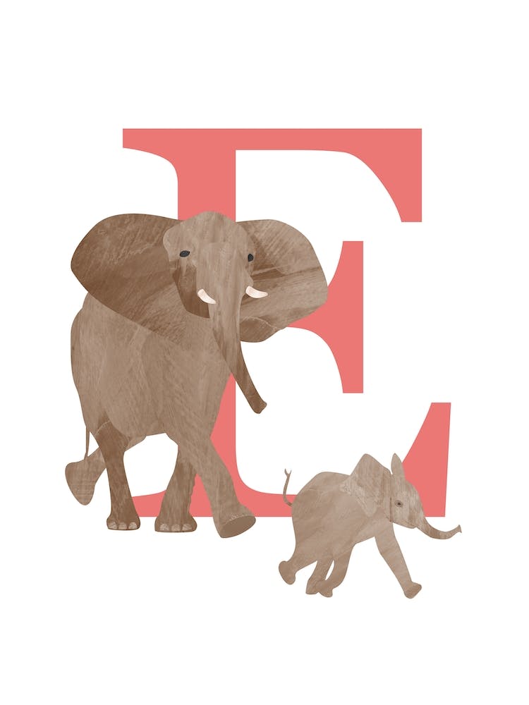 E For Elephant