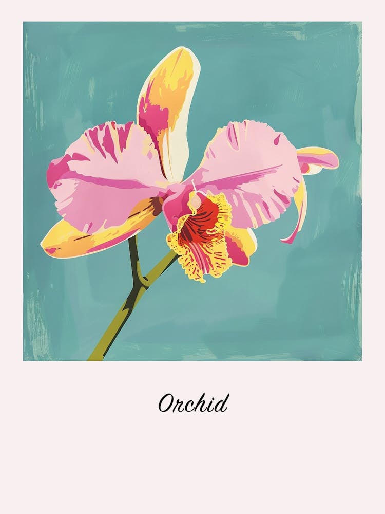 Orchid 1 Square Flower Illustration Poster
