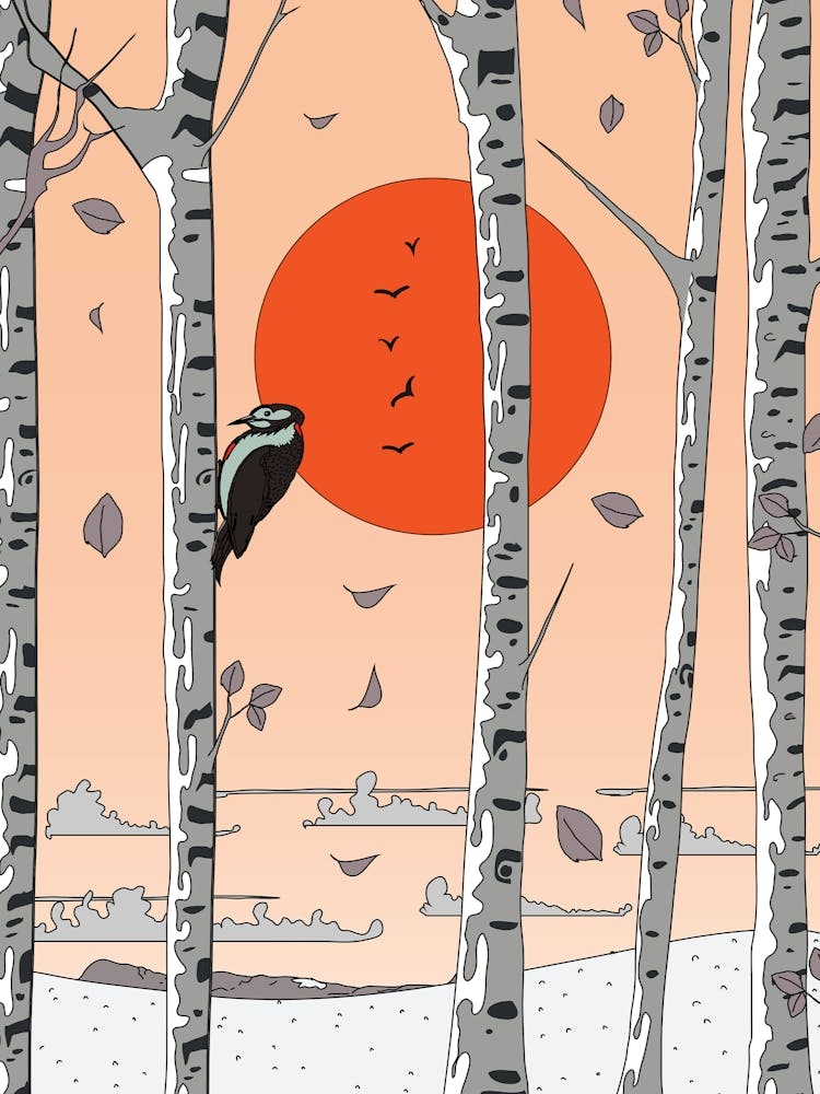 Woodpecker In The Woods