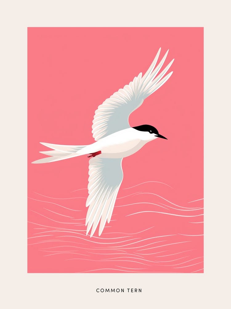 Minimalist Common Tern 1 Bird Poster