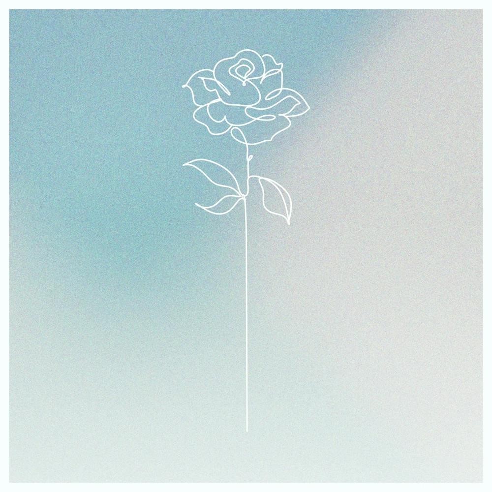 Rose 6