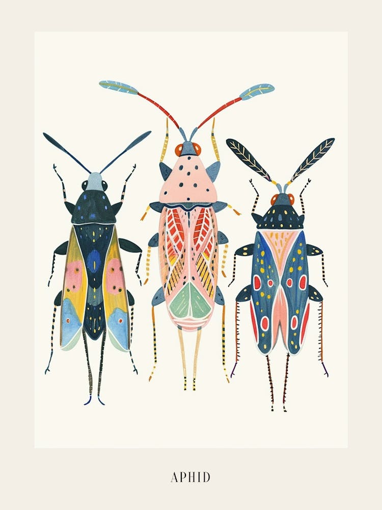 Colourful Insect Illustration Aphid 4 Poster