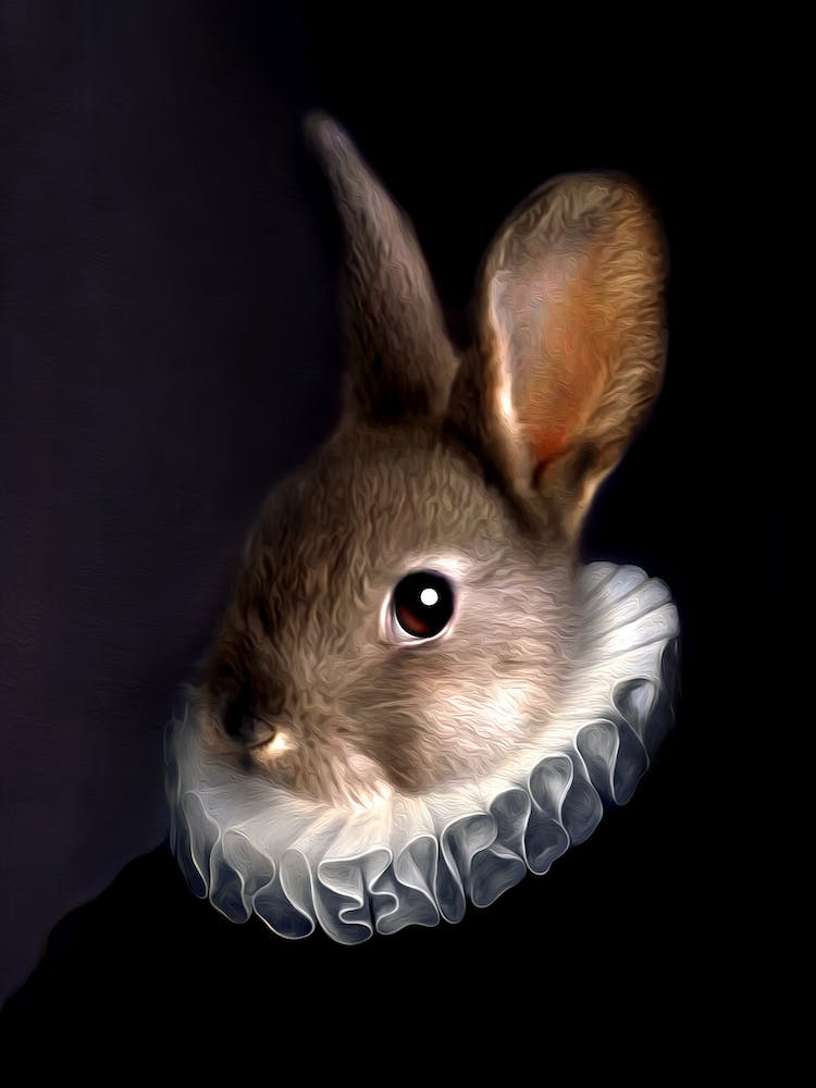 Dutch Master Jake Rabbit With White Collar Pet Portraits