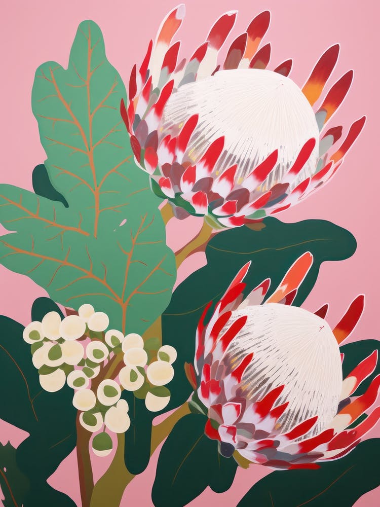 Proteas Flower Big Bold Illustration 1