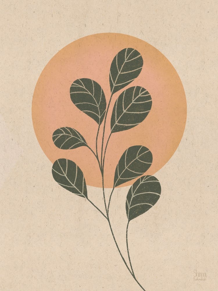 Round Leafs In The Sunset, Apricotglossy