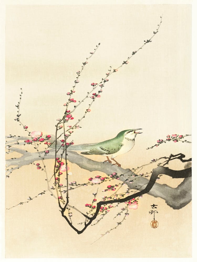 Songbird And Plum Blossom (1900 1936), Ohara Koson