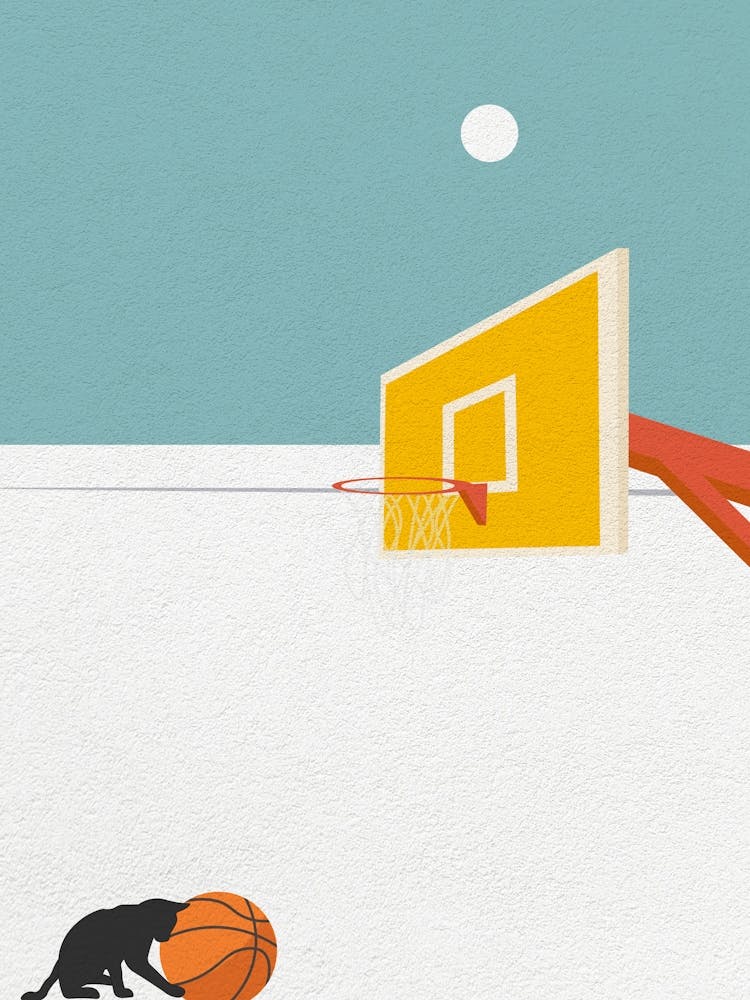 Minimal art cat with Basketball Hoop