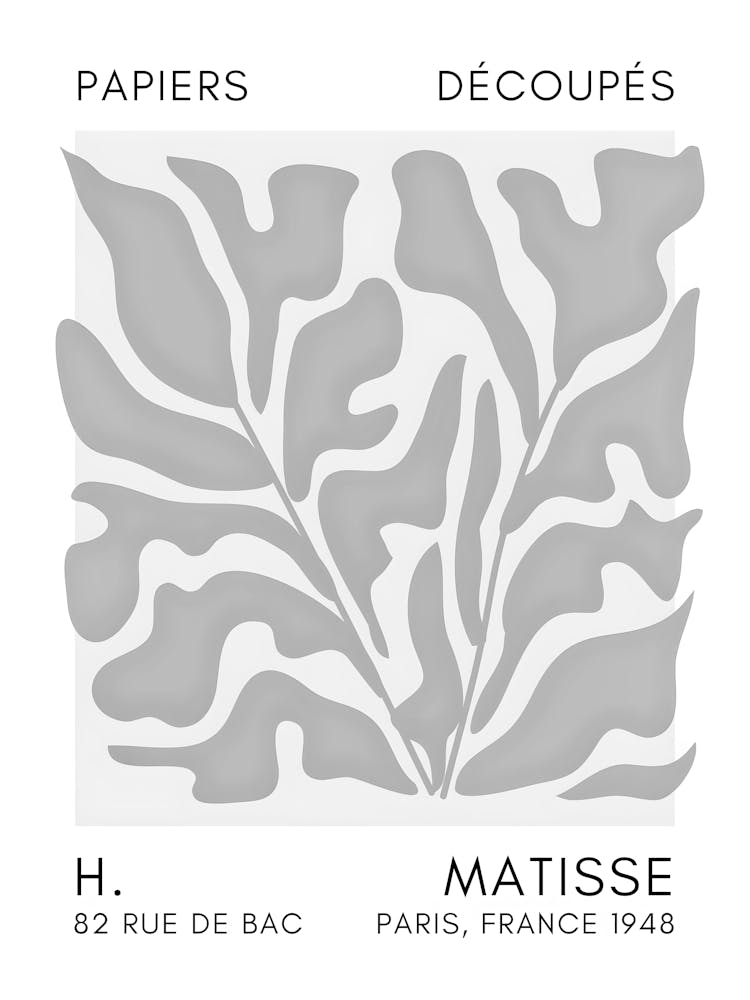 Matisse 46