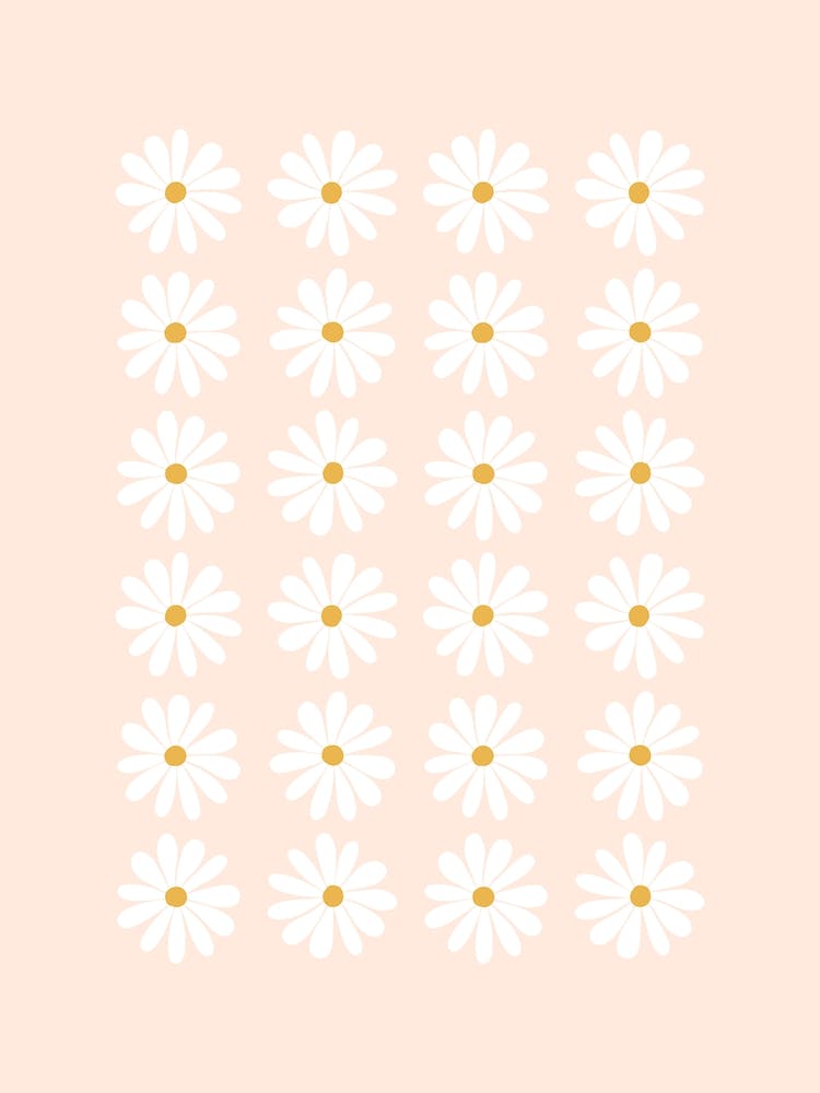 Pink Daisy Rows