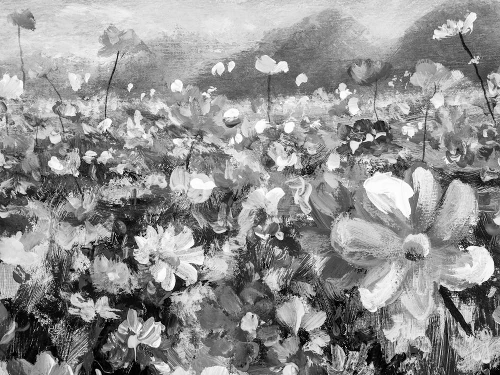 Black And White Flowers 106