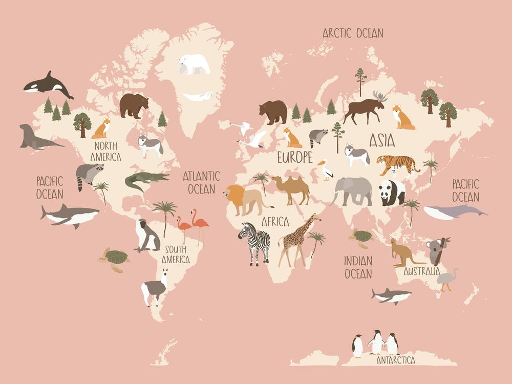 Modern World Map With Animals In Pink