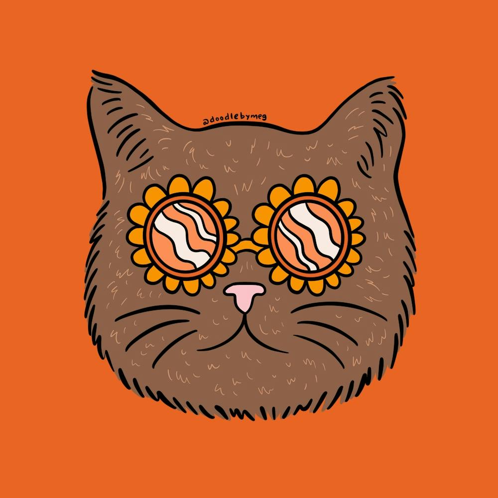 Brown Groovy Cat