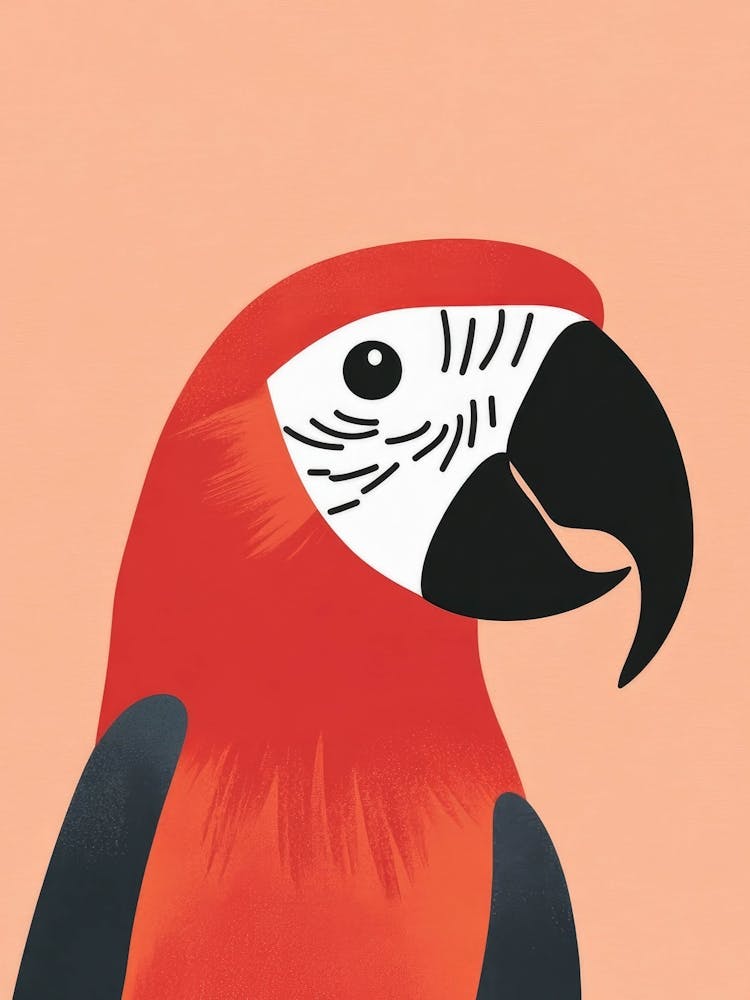 Perroquet