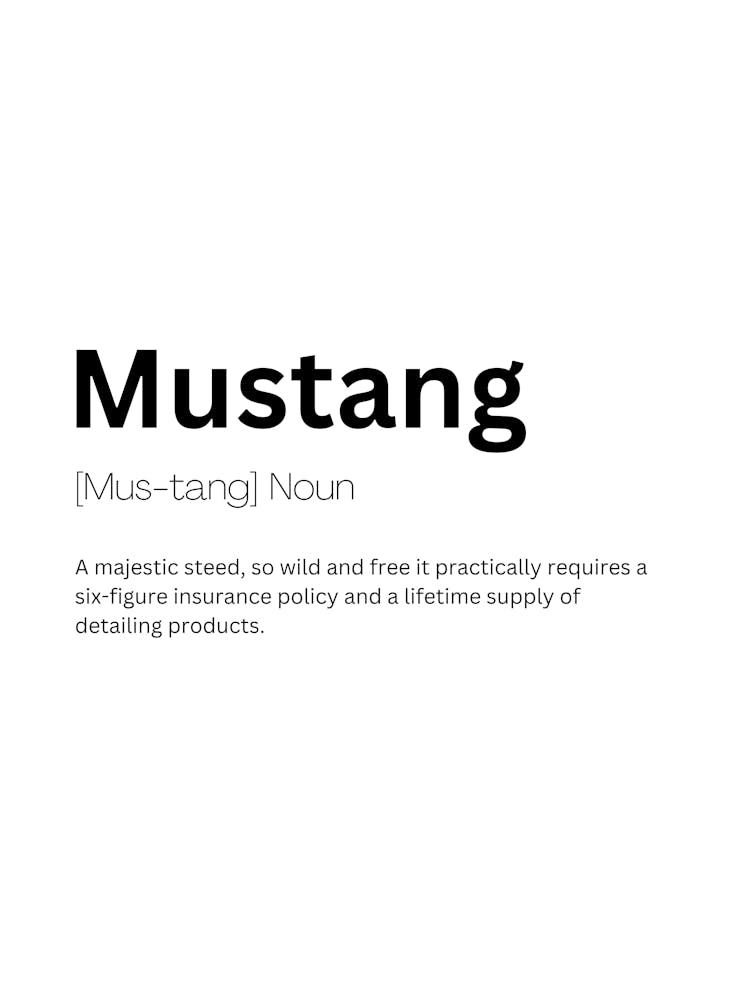 Mustang Definition Meaning