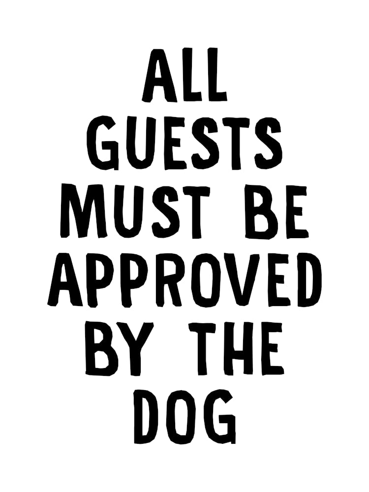 Funny Dog Retro Typography